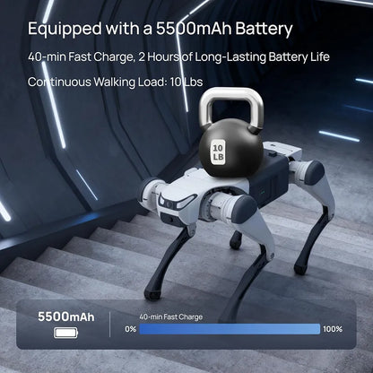 DEEP Robotics Lite 3 AI Quadruped Robot Dog – Autonomous Smart Bionic, Supports Secondary Development for Research Platform, Patrol & Entertainment