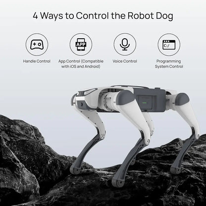 DEEP Robotics Lite 3 AI Quadruped Robot Dog – Autonomous Smart Bionic, Supports Secondary Development for Research Platform, Patrol & Entertainment