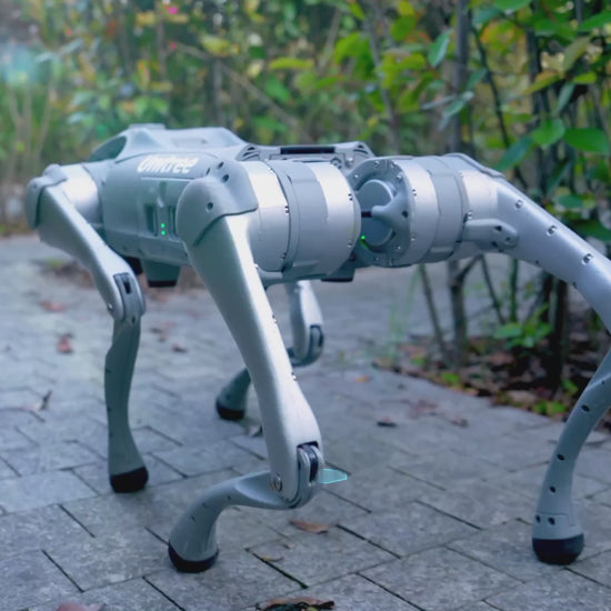 Unitree Go2